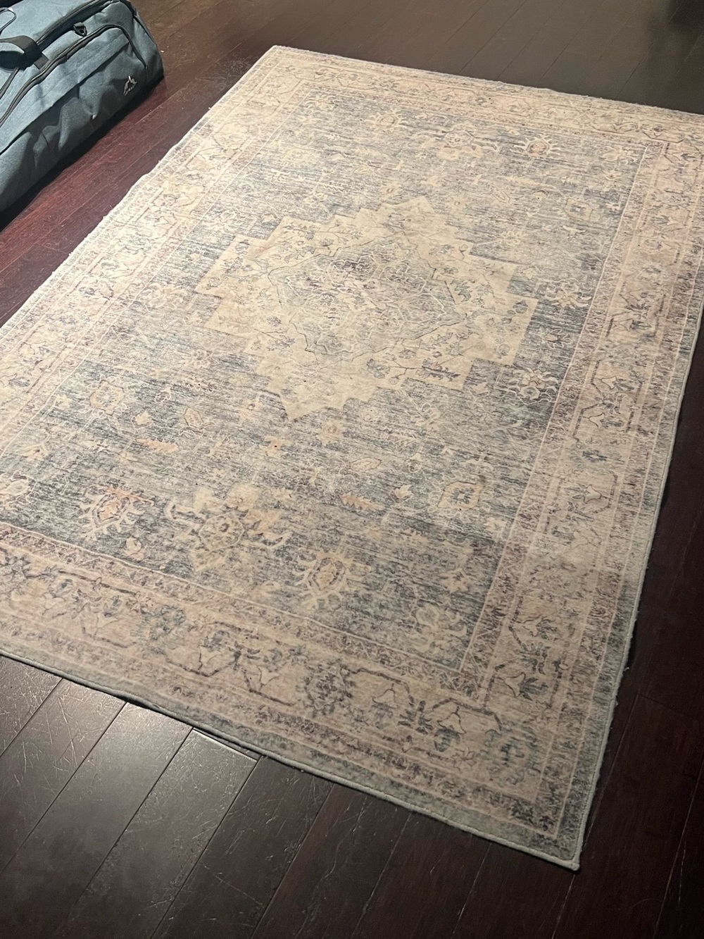Vintage-Inspired Area Rug in Soft Blue and Cream